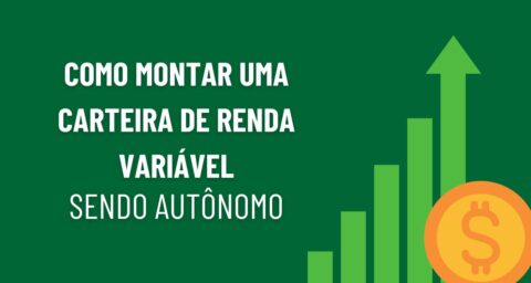 como montar uma carteira de investimentos com renda variavel