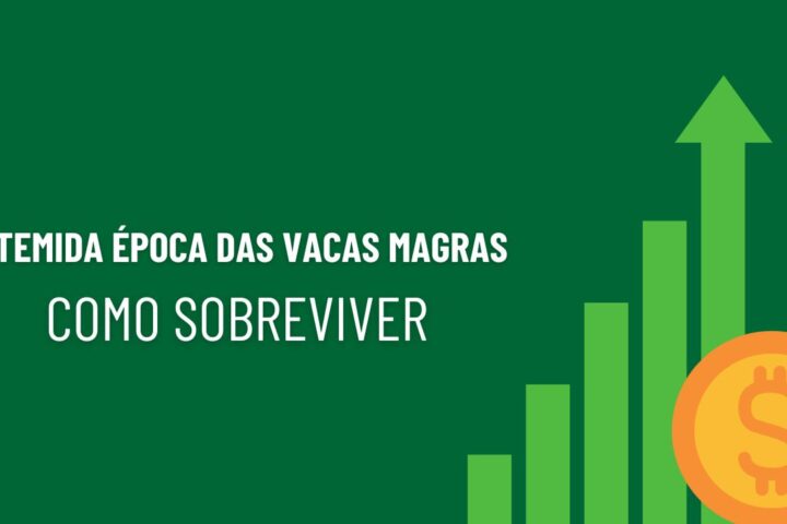 Como Sobreviver a Meses de Vacas Magras O guia do fundo de reserva para autônomos