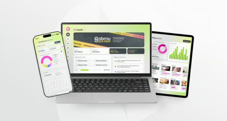 meu dinheiro organizado